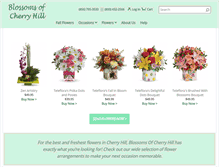 Tablet Screenshot of blossomsofcherryhill.com